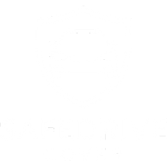 SafeDrive Logo